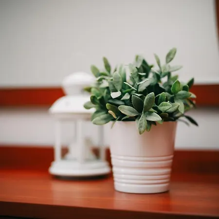 Promenada - Aquarius Apartment